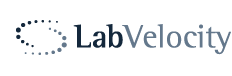 labvelocity.gif (1720 bytes)